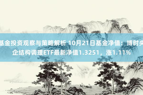 基金投资观察与策略解析 10月21日基金净值：博时央企结构调理ETF最新净值1.3251，涨1.11%