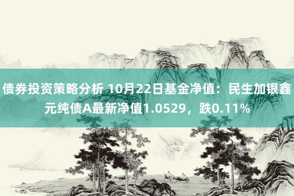 债券投资策略分析 10月22日基金净值：民生加银鑫元纯债A最新净值1.0529，跌0.11%