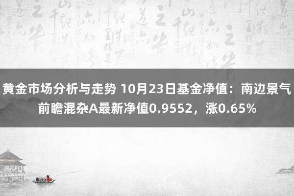 黄金市场分析与走势 10月23日基金净值：南边景气前瞻混杂A最新净值0.9552，涨0.65%