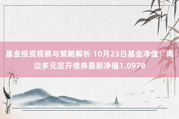 基金投资观察与策略解析 10月23日基金净值：南边多元定开债券最新净值1.0978