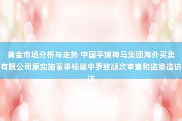 黄金市场分析与走势 中国平煤神马集团海外买卖有限公司原实施董事杨建中罗致顺次审查和监察造访