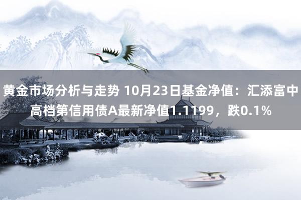 黄金市场分析与走势 10月23日基金净值：汇添富中高档第信用债A最新净值1.1199，跌0.1%