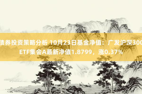 债券投资策略分析 10月23日基金净值：广发沪深300ETF集会A最新净值1.8799，涨0.37%