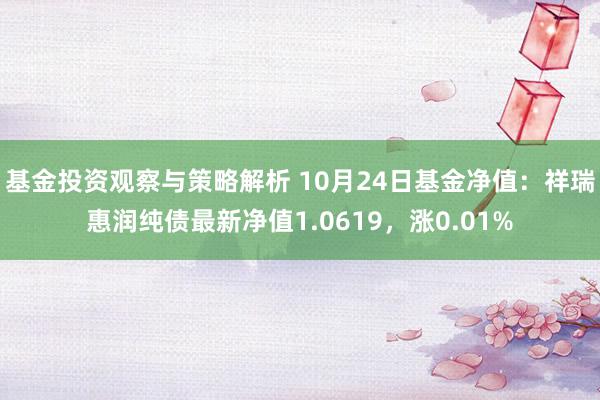 基金投资观察与策略解析 10月24日基金净值：祥瑞惠润纯债最新净值1.0619，涨0.01%