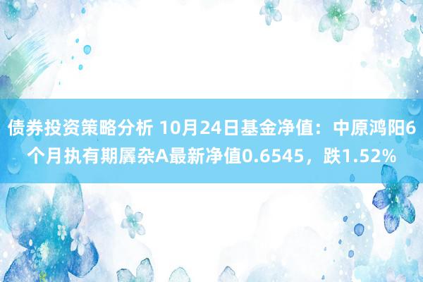 债券投资策略分析 10月24日基金净值：中原鸿阳6个月执有期羼杂A最新净值0.6545，跌1.52%