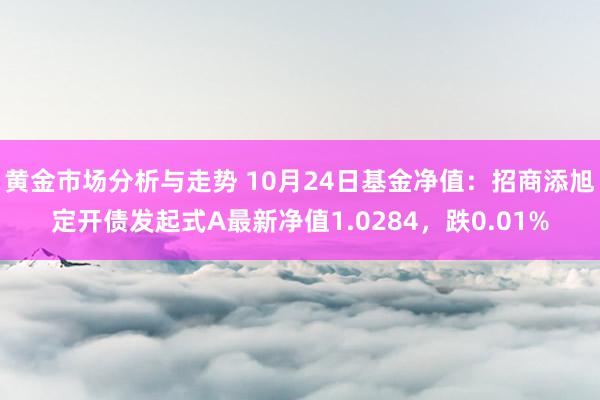 黄金市场分析与走势 10月24日基金净值：招商添旭定开债发起式A最新净值1.0284，跌0.01%