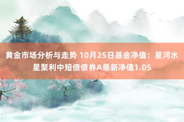 黄金市场分析与走势 10月25日基金净值：星河水星聚利中短债债券A最新净值1.05