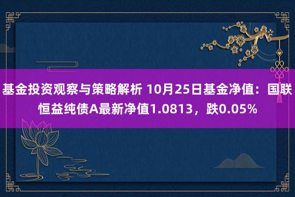 基金投资观察与策略解析 10月25日基金净值：国联恒益纯债A最新净值1.0813，跌0.05%