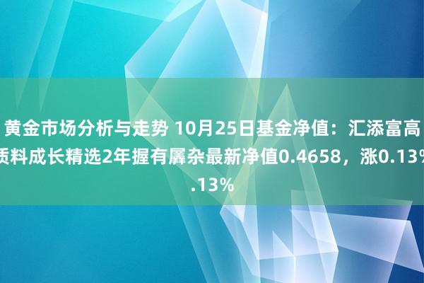 黄金市场分析与走势 10月25日基金净值：汇添富高质料成长精选2年握有羼杂最新净值0.4658，涨0.13%