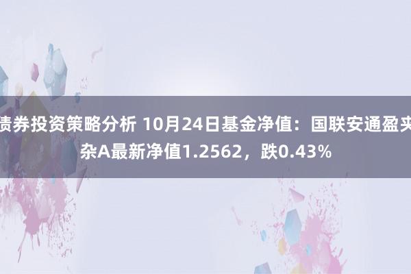 债券投资策略分析 10月24日基金净值：国联安通盈夹杂A最新净值1.2562，跌0.43%