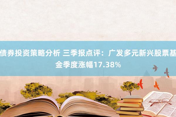 债券投资策略分析 三季报点评：广发多元新兴股票基金季度涨幅17.38%