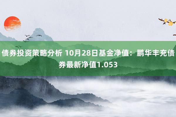 债券投资策略分析 10月28日基金净值：鹏华丰充债券最新净值1.053