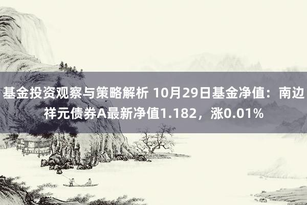 基金投资观察与策略解析 10月29日基金净值：南边祥元债券A最新净值1.182，涨0.01%