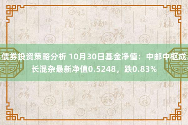 债券投资策略分析 10月30日基金净值：中邮中枢成长混杂最新净值0.5248，跌0.83%