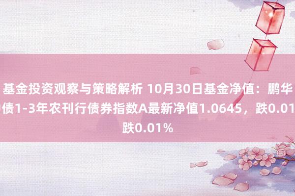 基金投资观察与策略解析 10月30日基金净值：鹏华中债1-3年农刊行债券指数A最新净值1.0645，跌0.01%