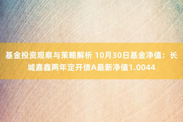 基金投资观察与策略解析 10月30日基金净值：长城嘉鑫两年定开债A最新净值1.0044