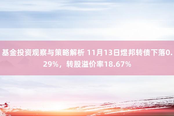 基金投资观察与策略解析 11月13日煜邦转债下落0.29%，转股溢价率18.67%