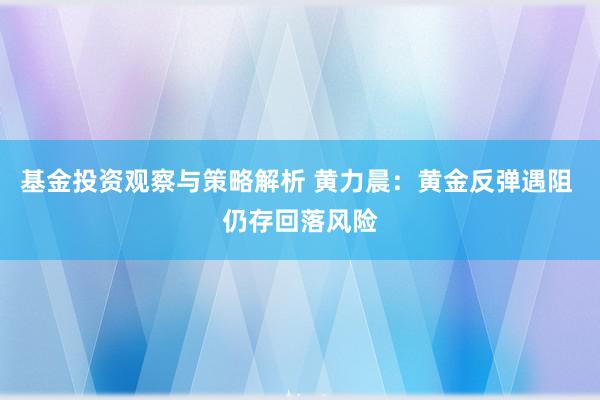 基金投资观察与策略解析 黄力晨：黄金反弹遇阻 仍存回落风险