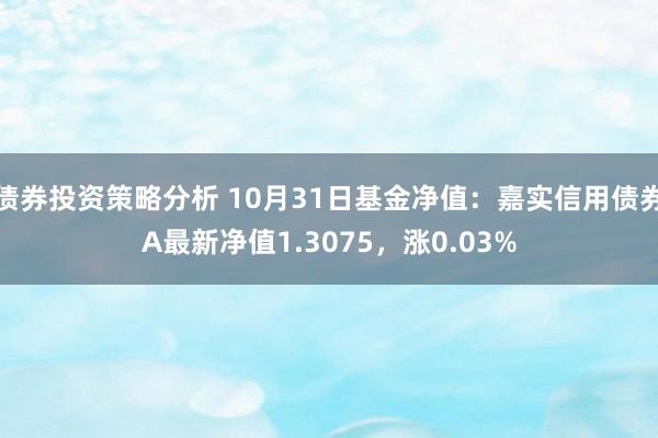 债券投资策略分析 10月31日基金净值：嘉实信用债券A最新净值1.3075，涨0.03%