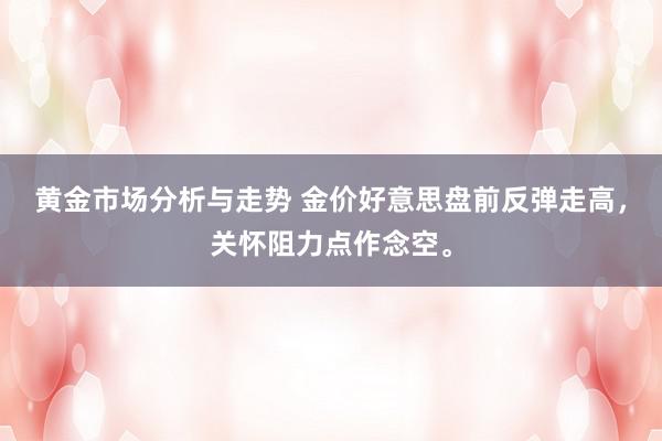 黄金市场分析与走势 金价好意思盘前反弹走高，关怀阻力点作念空。