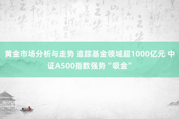 黄金市场分析与走势 追踪基金领域超1000亿元 中证A500指数强势“吸金”