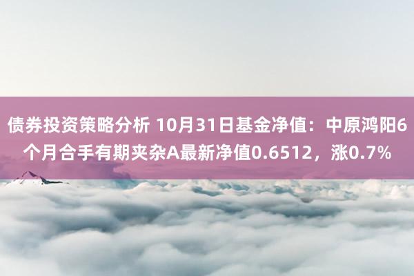 债券投资策略分析 10月31日基金净值：中原鸿阳6个月合手有期夹杂A最新净值0.6512，涨0.7%