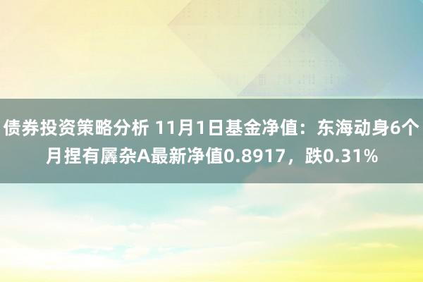 债券投资策略分析 11月1日基金净值：东海动身6个月捏有羼杂A最新净值0.8917，跌0.31%