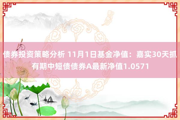 债券投资策略分析 11月1日基金净值：嘉实30天抓有期中短债债券A最新净值1.0571