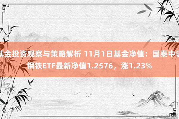 基金投资观察与策略解析 11月1日基金净值：国泰中证钢铁ETF最新净值1.2576，涨1.23%