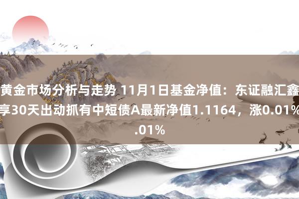 黄金市场分析与走势 11月1日基金净值：东证融汇鑫享30天出动抓有中短债A最新净值1.1164，涨0.01%