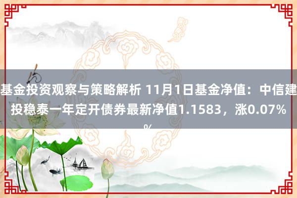 基金投资观察与策略解析 11月1日基金净值：中信建投稳泰一年定开债券最新净值1.1583，涨0.07%