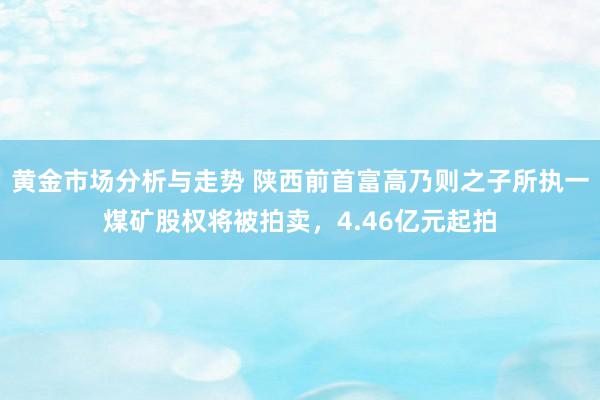 黄金市场分析与走势 陕西前首富高乃则之子所执一煤矿股权将被拍卖，4.46亿元起拍