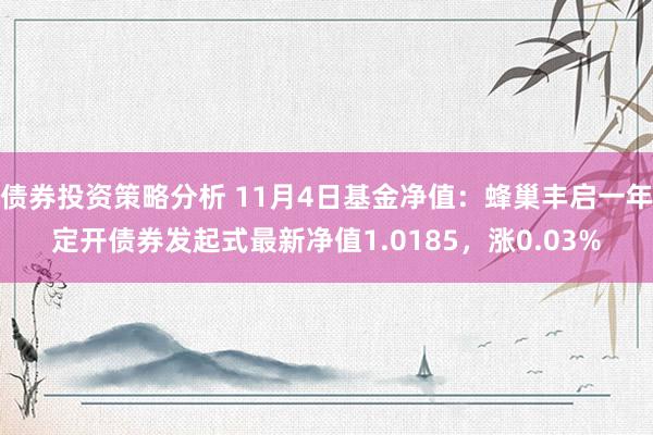 债券投资策略分析 11月4日基金净值：蜂巢丰启一年定开债券发起式最新净值1.0185，涨0.03%