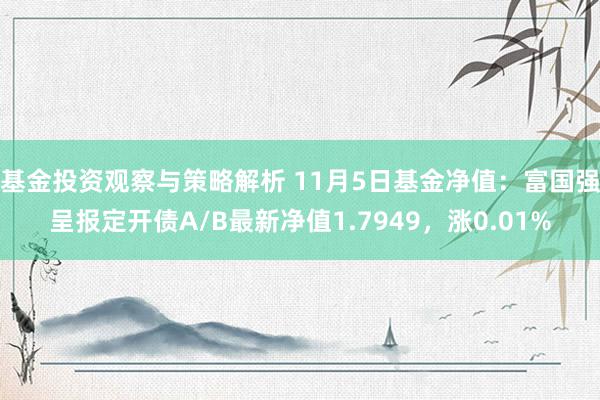 基金投资观察与策略解析 11月5日基金净值：富国强呈报定开债A/B最新净值1.7949，涨0.01%