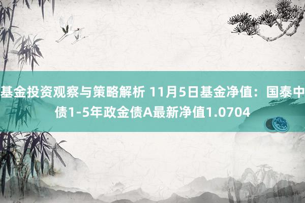 基金投资观察与策略解析 11月5日基金净值：国泰中债1-5年政金债A最新净值1.0704