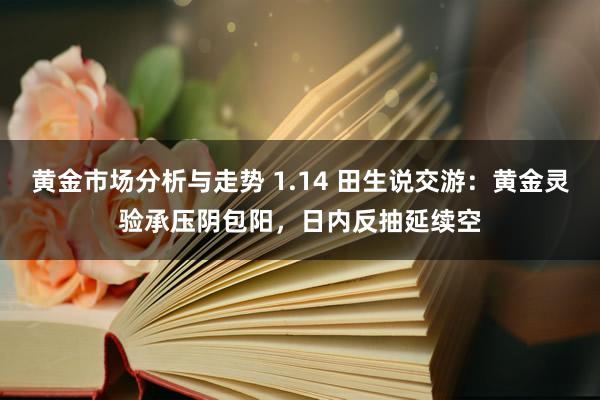 黄金市场分析与走势 1.14 田生说交游：黄金灵验承压阴包阳，日内反抽延续空