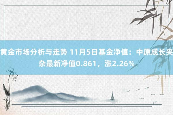 黄金市场分析与走势 11月5日基金净值：中原成长夹杂最新净值0.861，涨2.26%