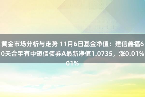 黄金市场分析与走势 11月6日基金净值：建信鑫福60天合手有中短债债券A最新净值1.0735，涨0.01%