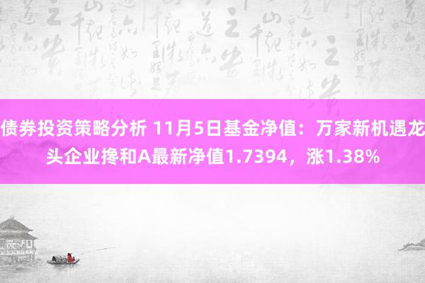 债券投资策略分析 11月5日基金净值：万家新机遇龙头企业搀和A最新净值1.7394，涨1.38%