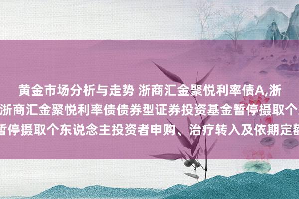 黄金市场分析与走势 浙商汇金聚悦利率债A,浙商汇金聚悦利率债C: 浙商汇金聚悦利率债债券型证券投资基金暂停摄取个东说念主投资者申购、治疗转入及依期定额投资业务的公告