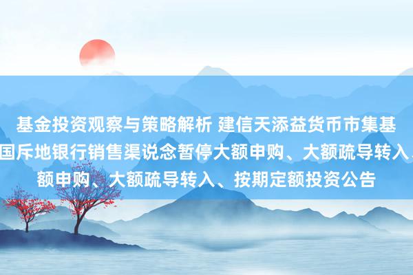 基金投资观察与策略解析 建信天添益货币市集基金C类基金份额在中国斥地银行销售渠说念暂停大额申购、大额疏导转入、按期定额投资公告