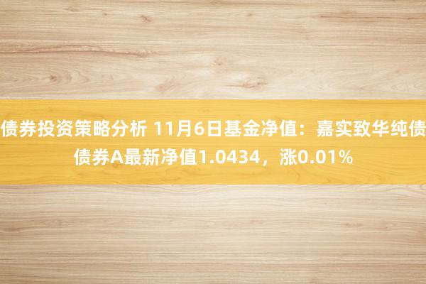 债券投资策略分析 11月6日基金净值：嘉实致华纯债债券A最新净值1.0434，涨0.01%