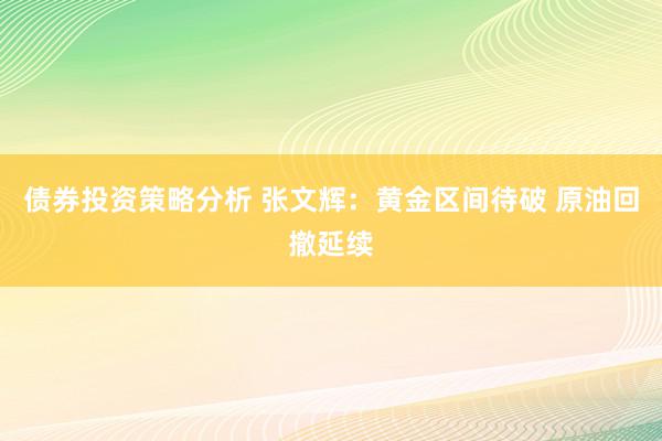 债券投资策略分析 张文辉：黄金区间待破 原油回撤延续