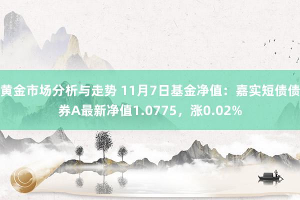 黄金市场分析与走势 11月7日基金净值：嘉实短债债券A最新净值1.0775，涨0.02%