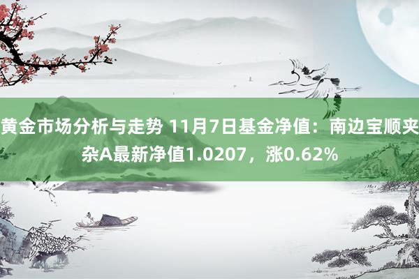 黄金市场分析与走势 11月7日基金净值：南边宝顺夹杂A最新净值1.0207，涨0.62%