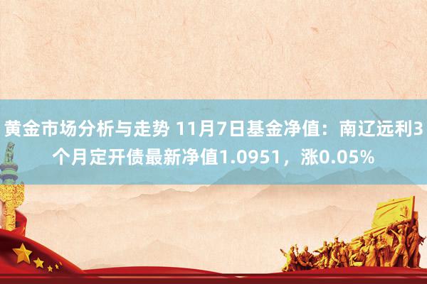 黄金市场分析与走势 11月7日基金净值：南辽远利3个月定开债最新净值1.0951，涨0.05%