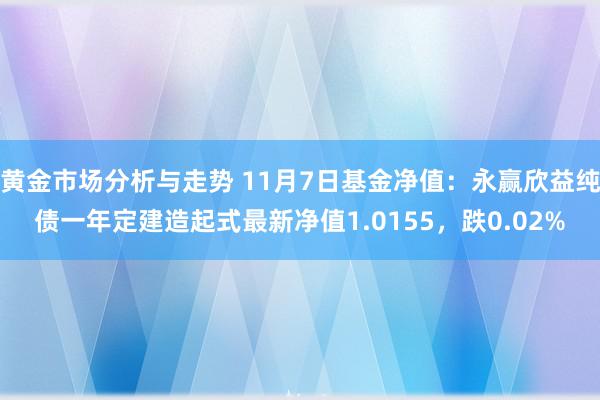 黄金市场分析与走势 11月7日基金净值：永赢欣益纯债一年定建造起式最新净值1.0155，跌0.02%