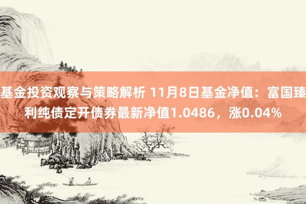 基金投资观察与策略解析 11月8日基金净值：富国臻利纯债定开债券最新净值1.0486，涨0.04%