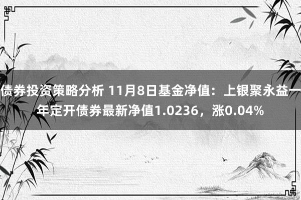 债券投资策略分析 11月8日基金净值：上银聚永益一年定开债券最新净值1.0236，涨0.04%