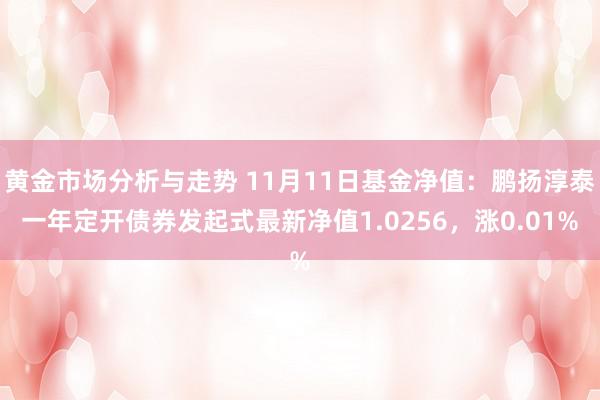 黄金市场分析与走势 11月11日基金净值：鹏扬淳泰一年定开债券发起式最新净值1.0256，涨0.01%